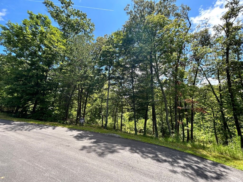 Lot 195 Trails End Way
