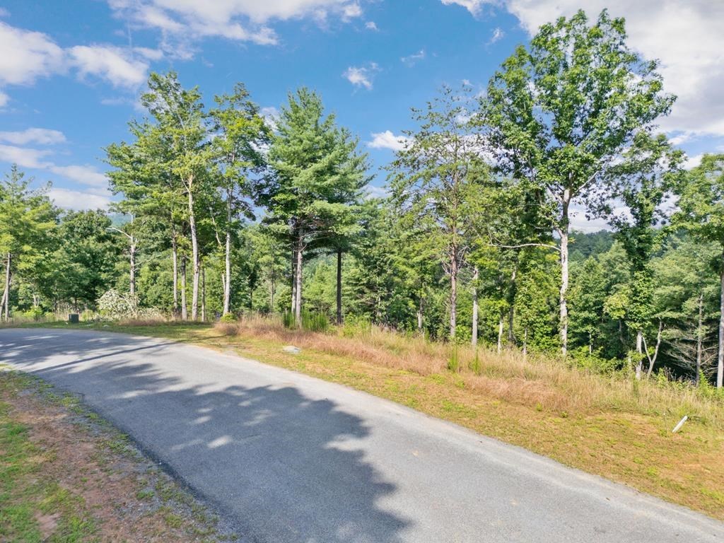Lot 222 Ridge Drive