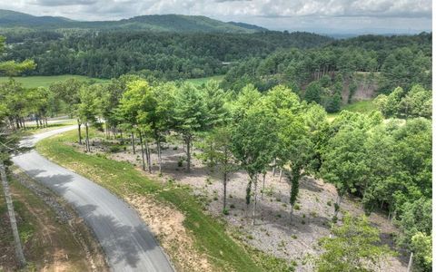 Lot 222 Ridge Drive Morganton GA 30560