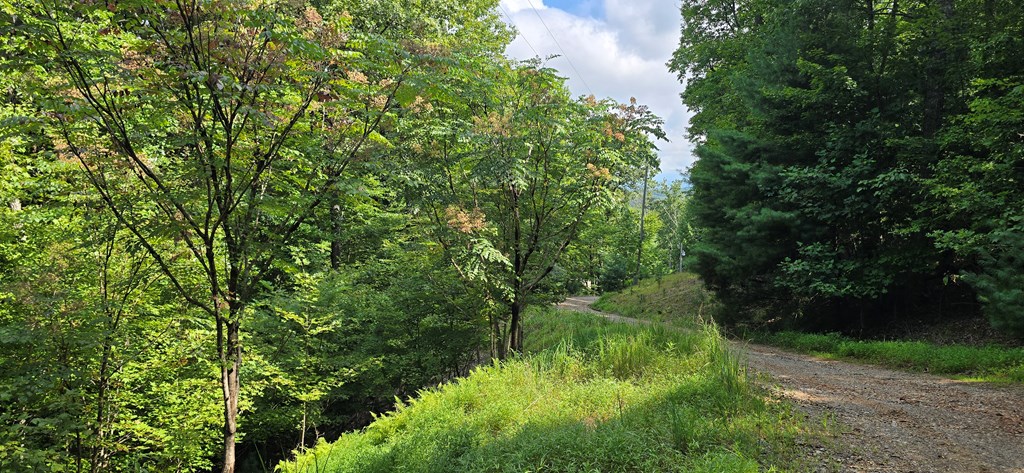 6.51 AC High Country Lane