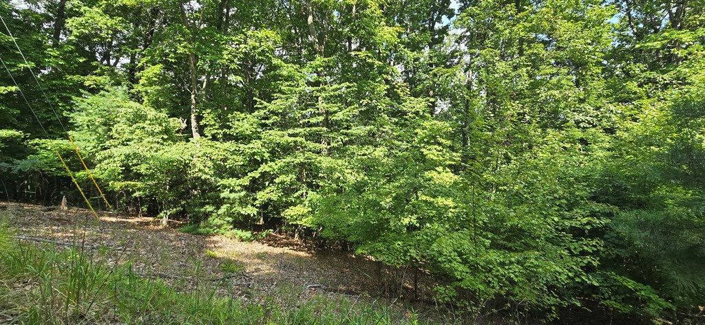 6.51 AC High Country Lane