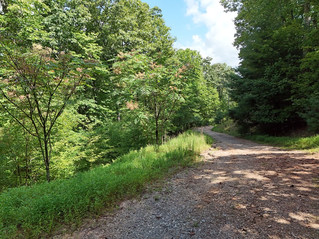 6.51 AC High Country Lane