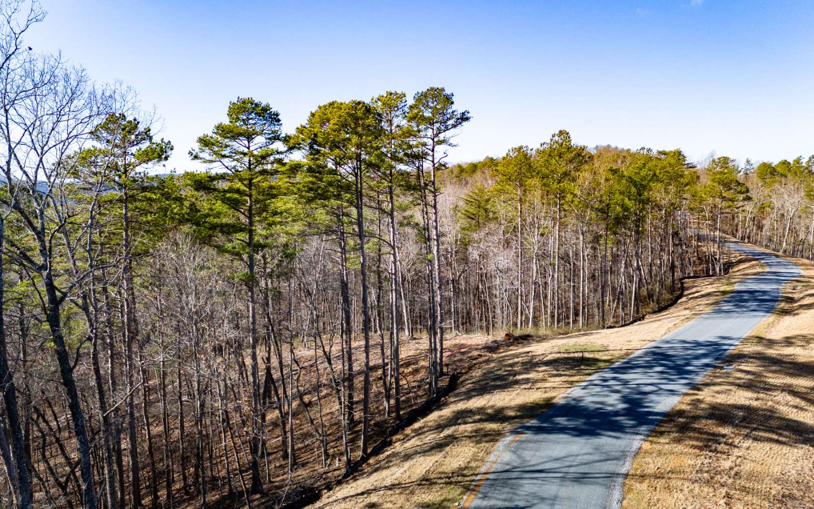 Ellijay, Georgia 30540, United States, ,Land,Active,67205
