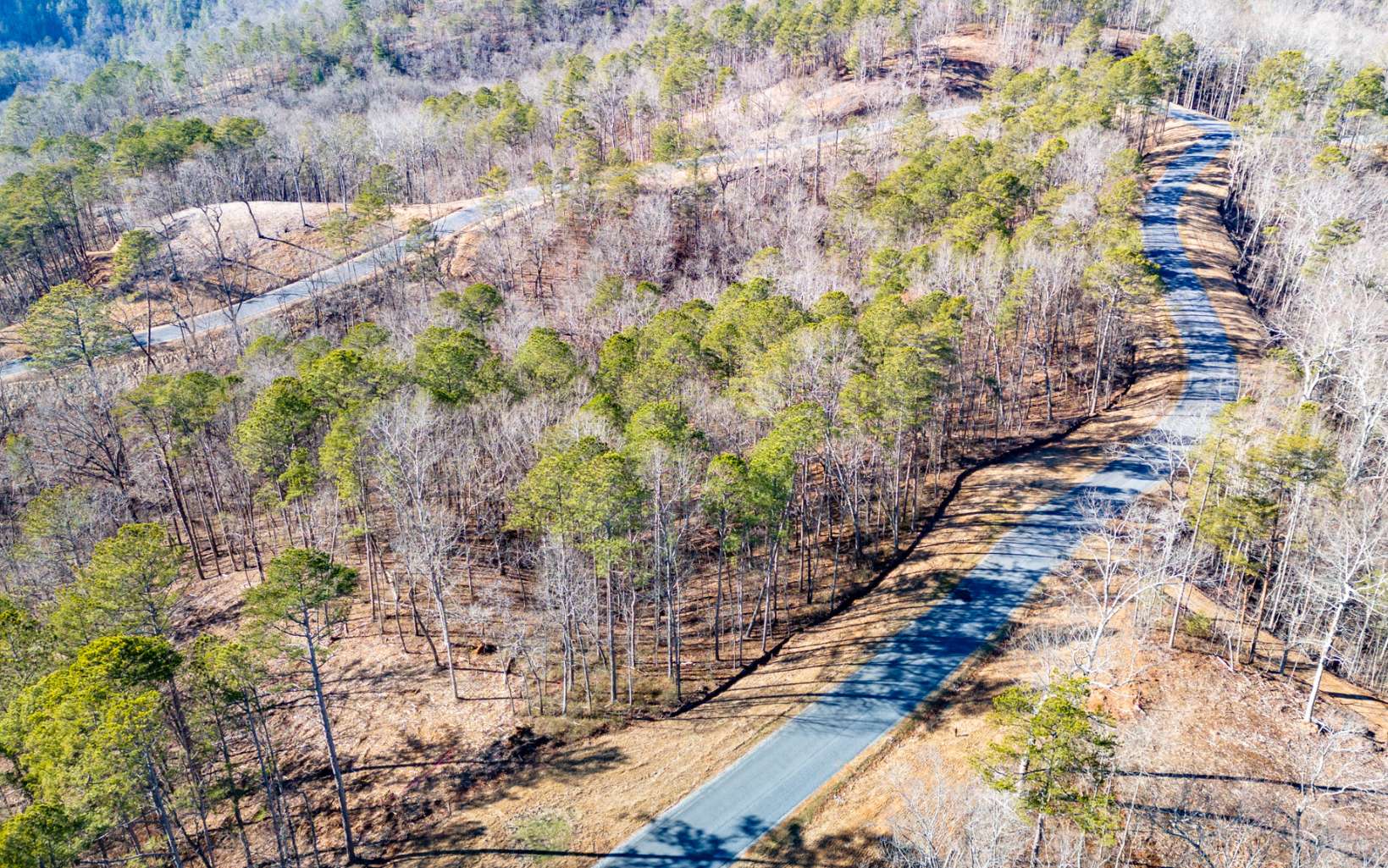 Ellijay, Georgia 30540, United States, ,Land,Active,67205