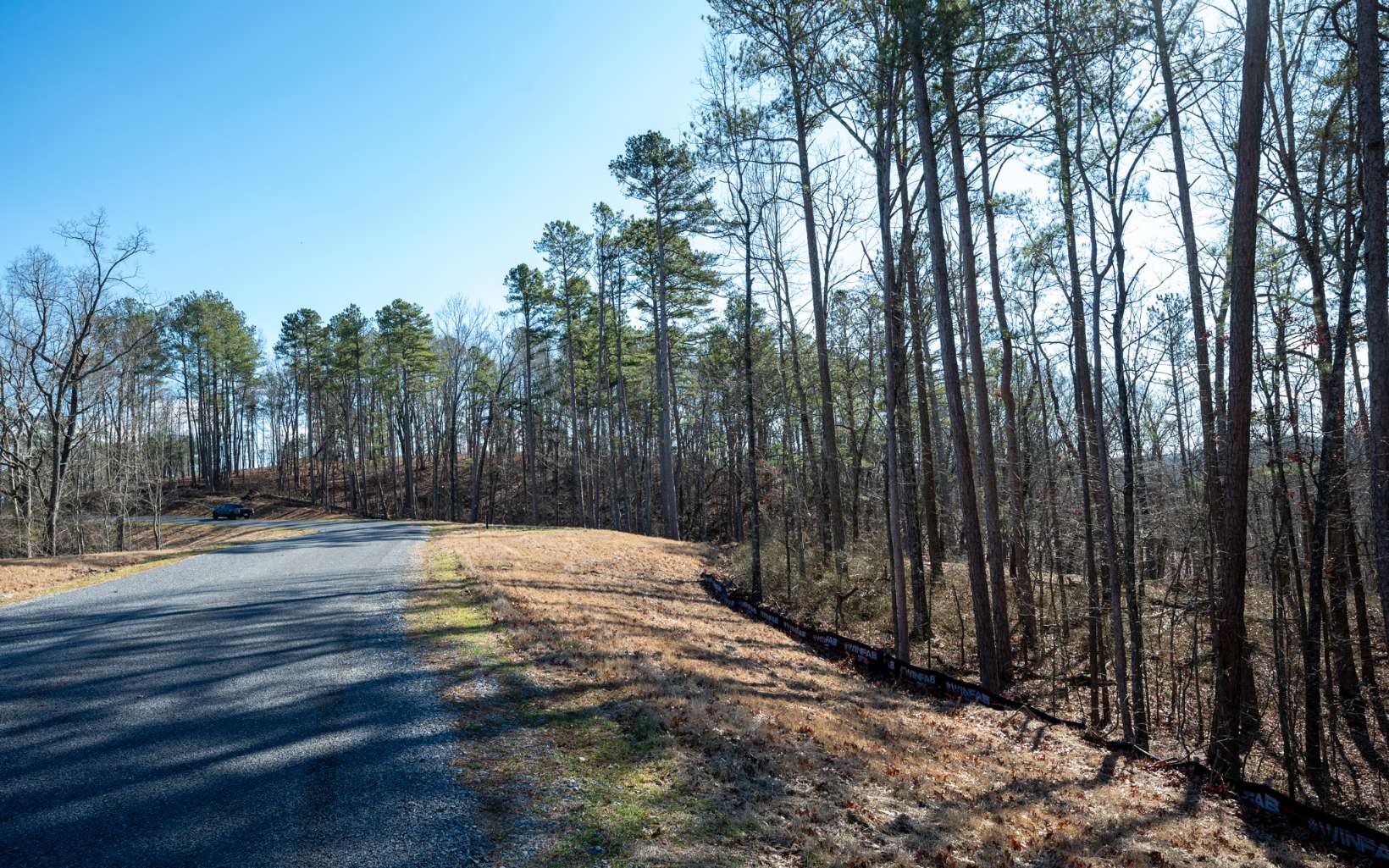 Ellijay, Georgia 30540, United States, ,Land,Active,67205