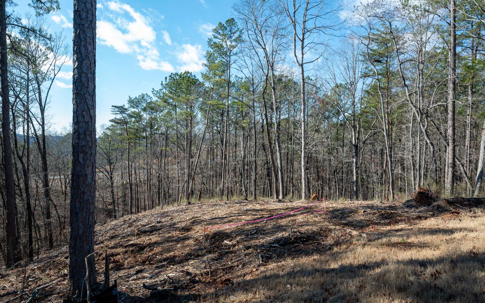 Ellijay, Georgia 30540, United States, ,Land,Active,67205