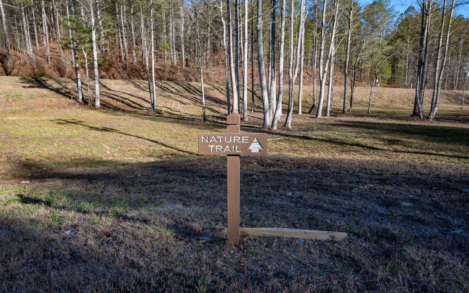 Ellijay, Georgia 30540, United States, ,Land,Active,67205