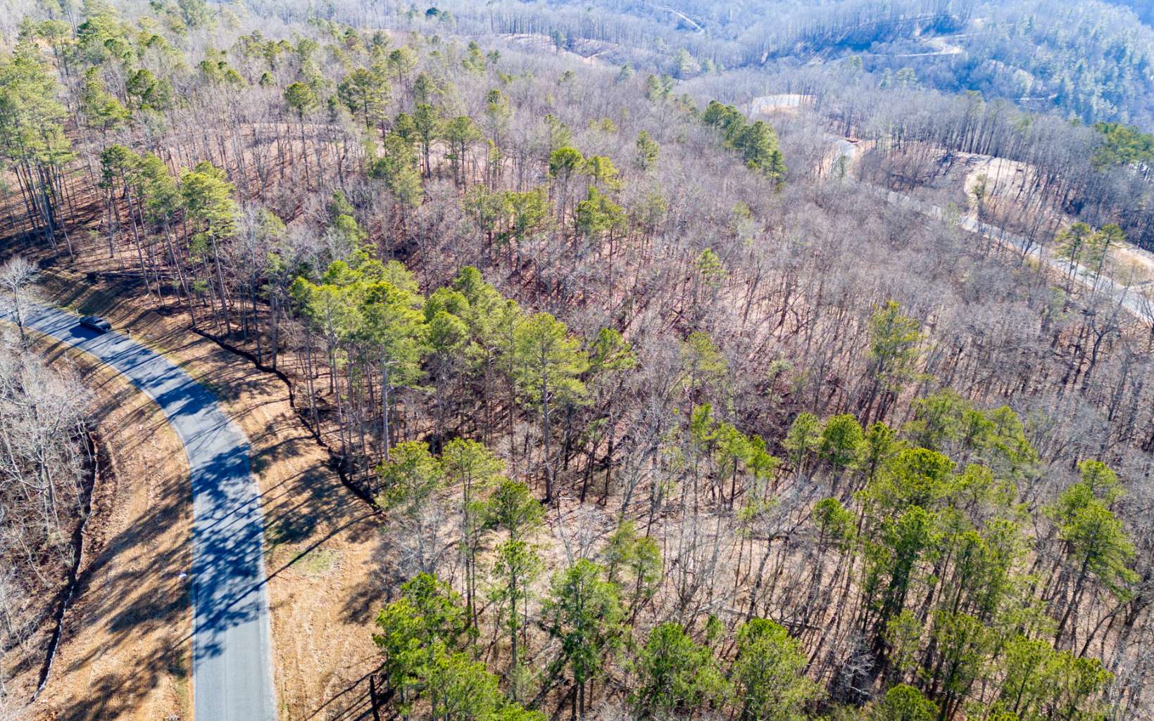 Ellijay, Georgia 30540, United States, ,Land,Active,67205