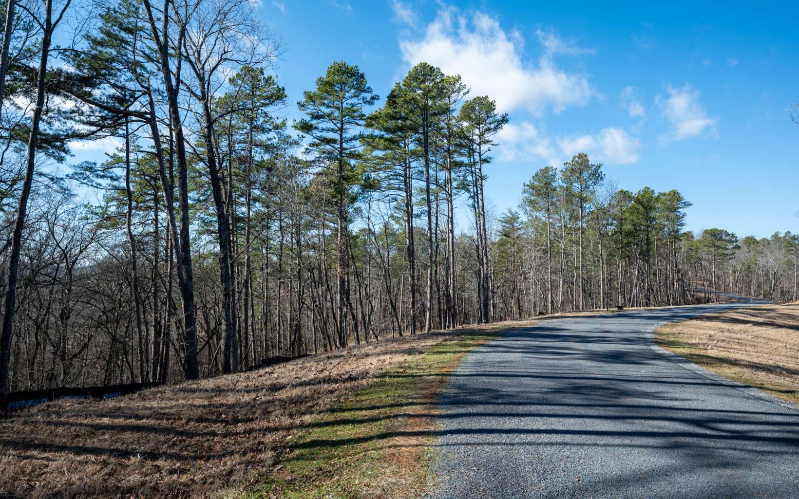 Ellijay, Georgia 30540, United States, ,Land,Active,67205