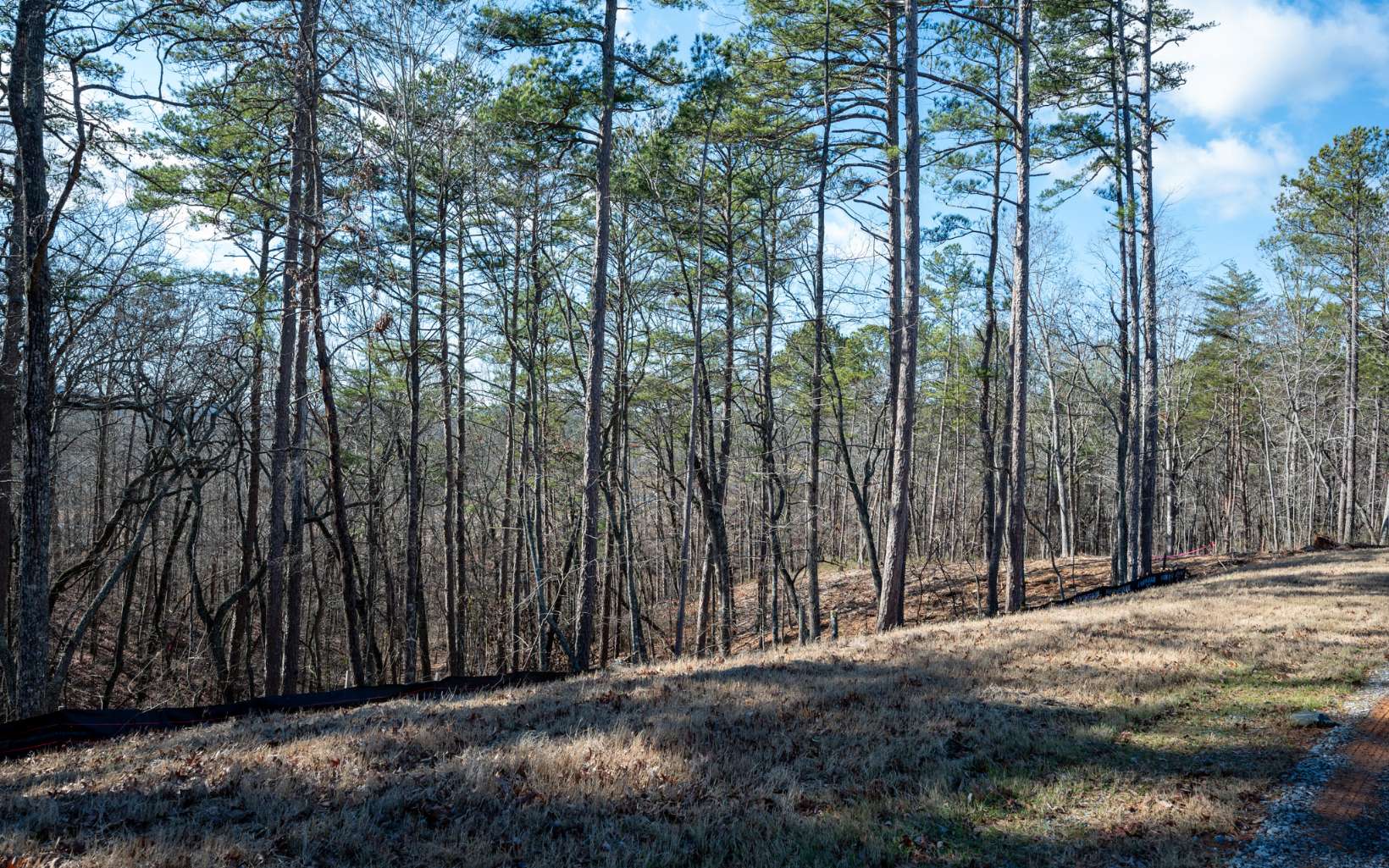 Ellijay, Georgia 30540, United States, ,Land,Active,67205