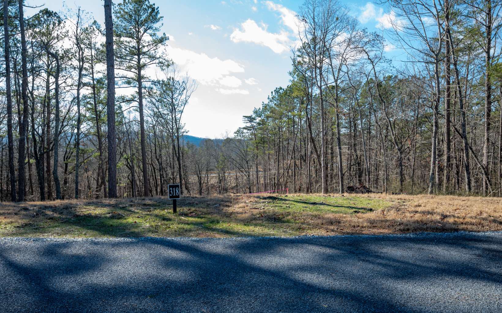 Ellijay, Georgia 30540, United States, ,Land,Active,67205