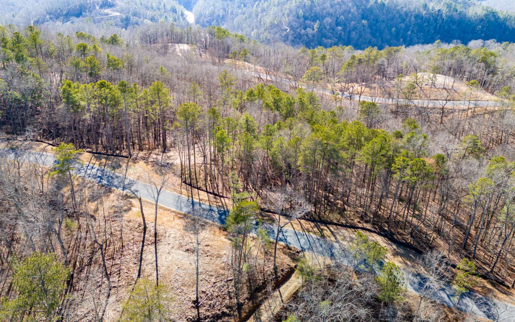 Ellijay, Georgia 30540, United States, ,Land,Active,67205