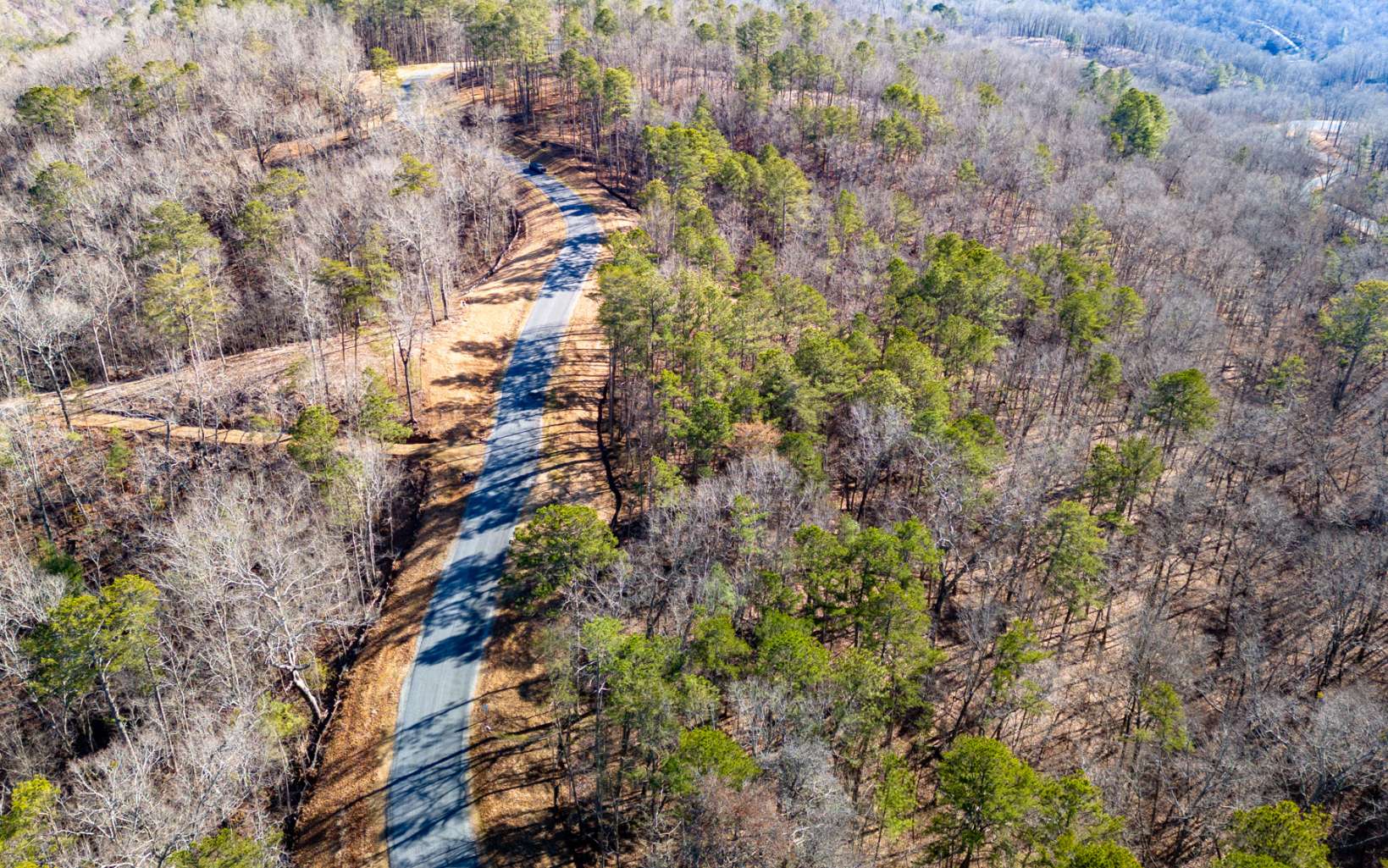 Ellijay, Georgia 30540, United States, ,Land,Active,67205