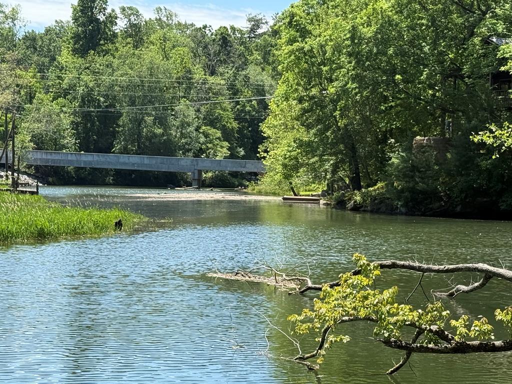 TR 2 & 3 Ashe Road