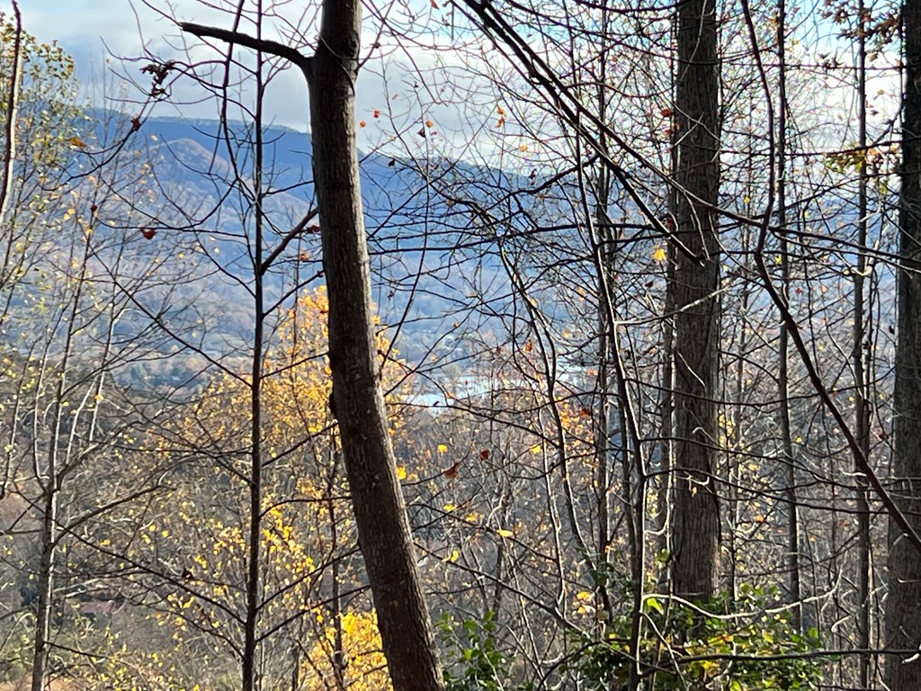 Tract 1 Hidden Summit Road