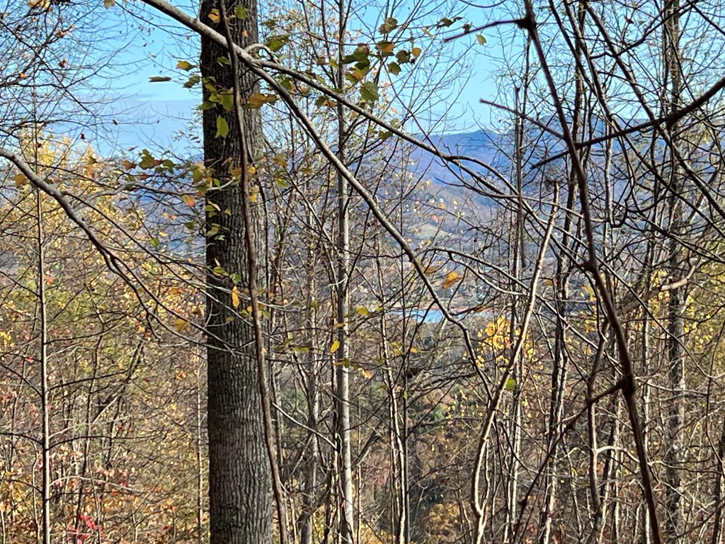 Tract 1 Hidden Summit Road