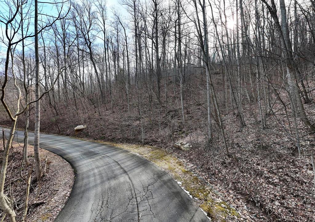 Lot #8 Overlook At Y. H.