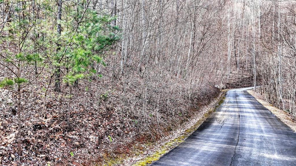 Lot #8 Overlook At Y. H.