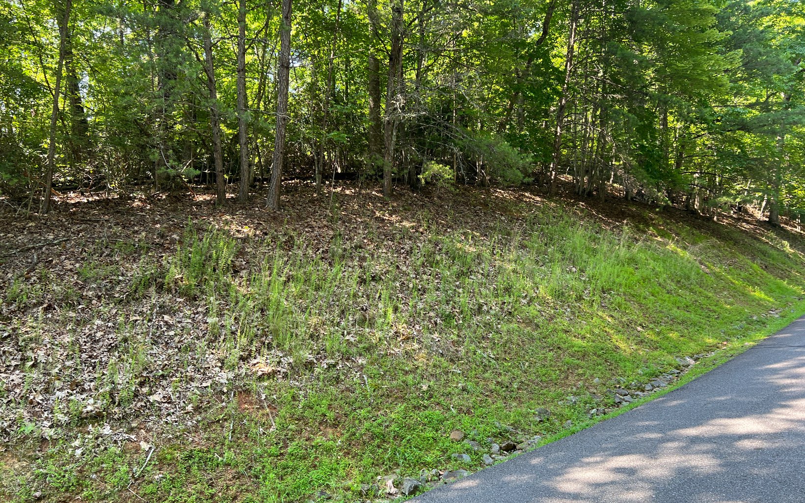 Lot 40 Double Knobs Drive