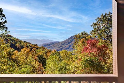 7031 Black Bear Trail Hiawassee GA 30546