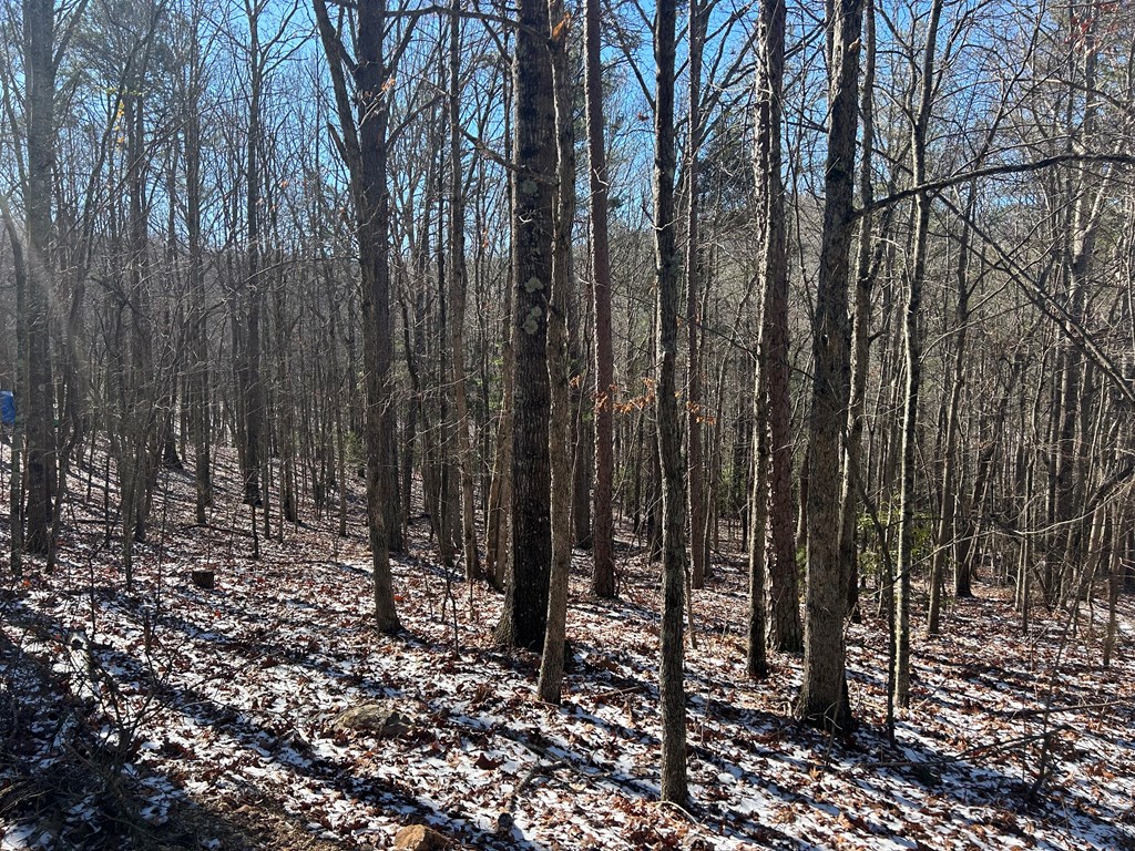 Lot 16 Deer Run Road