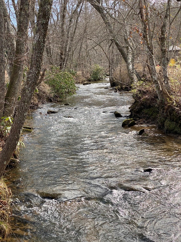 10 Arbor Creek Trail