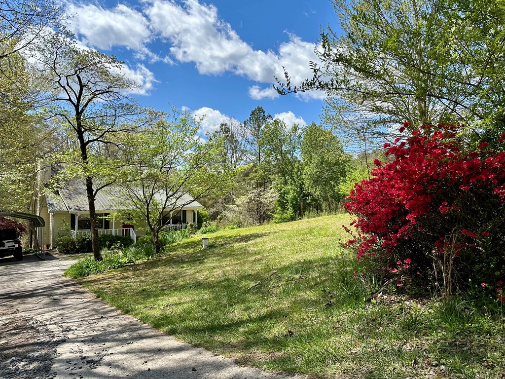 100 Cartecay Cove Drive