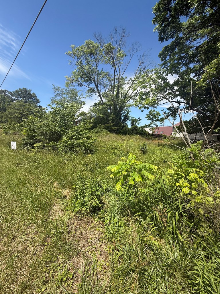 Lot 19 E Second Street