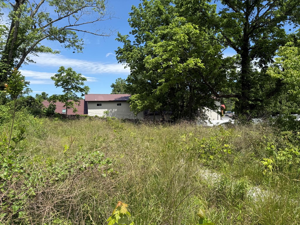 Lot 19 E Second Street