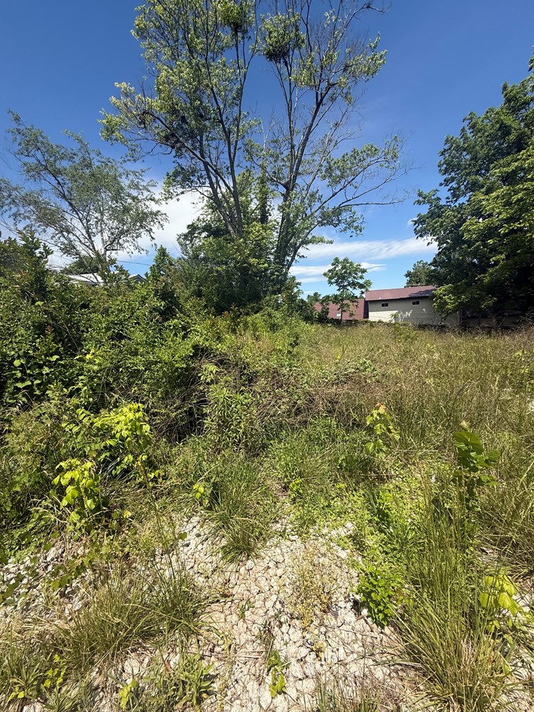 Lot 19 E Second Street