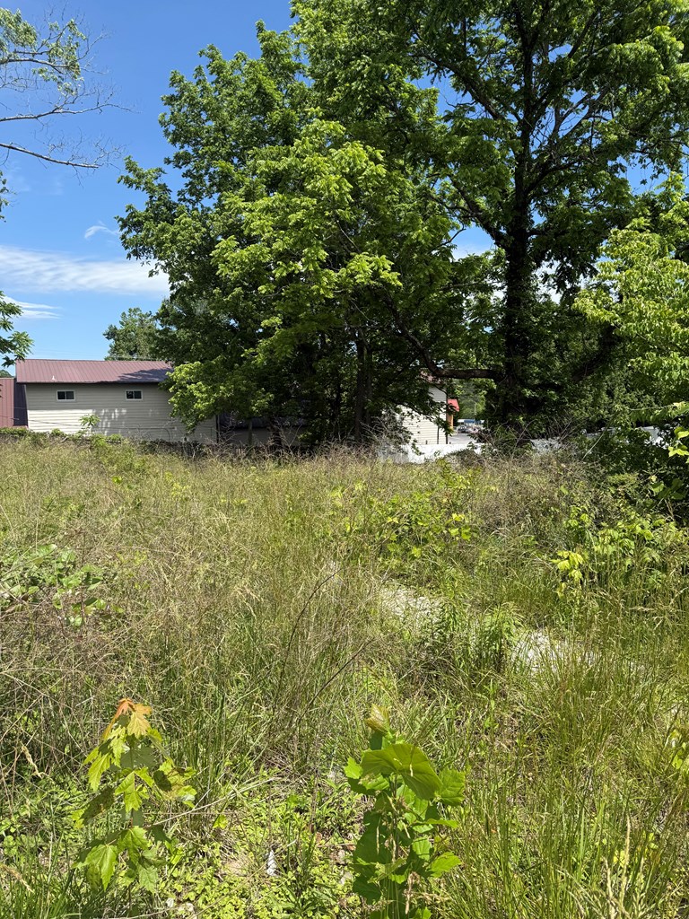 Lot 19 E Second Street