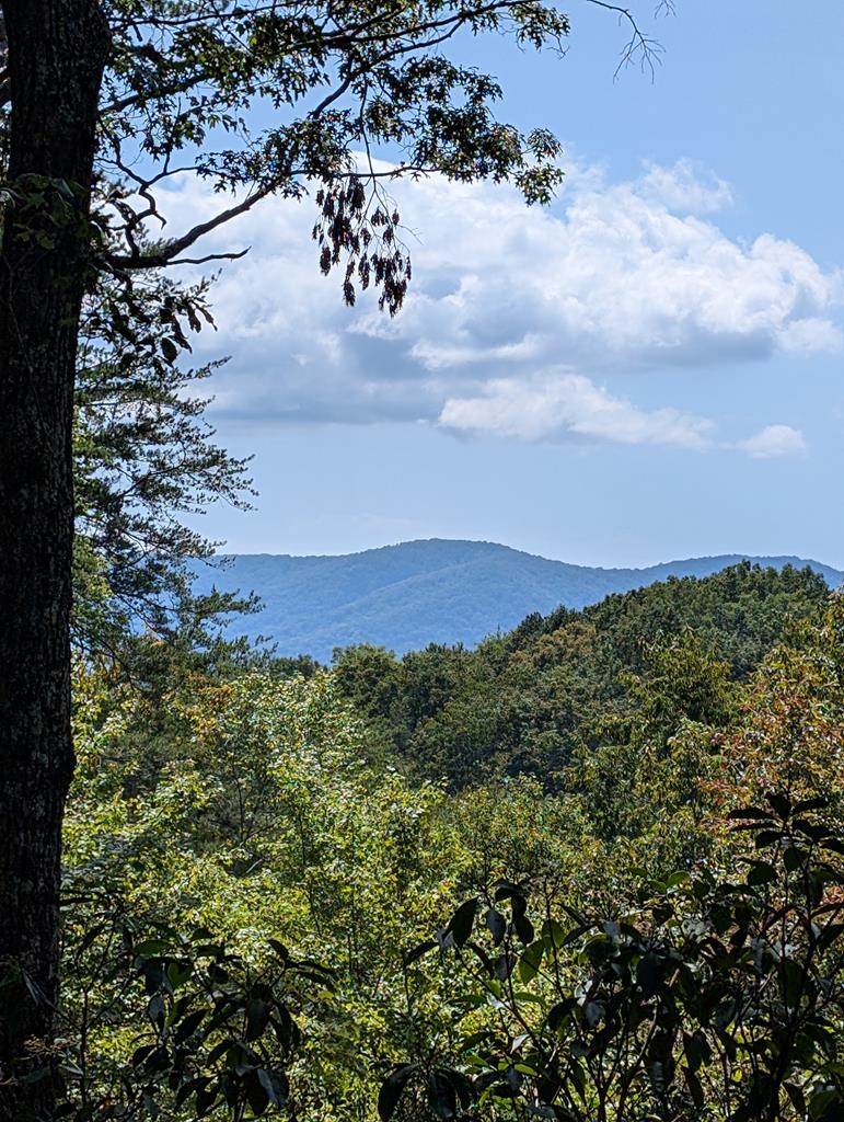 152 Broken Arrow Path