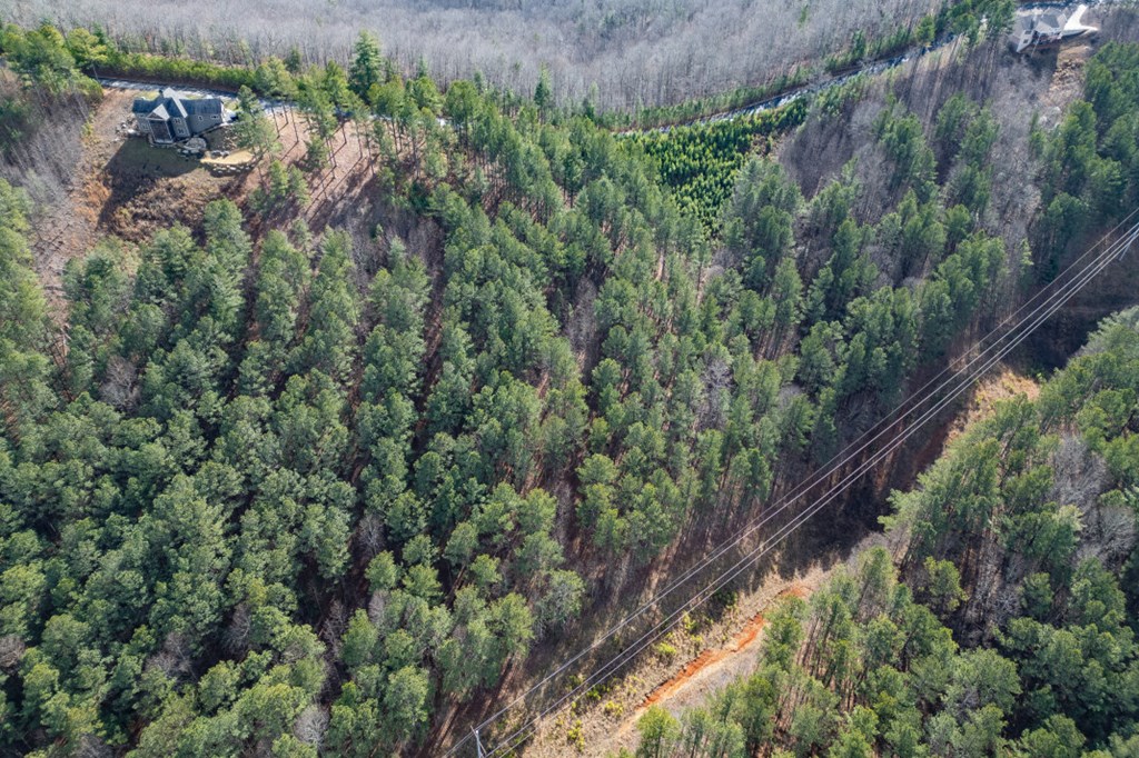 Lot 74 Thirteen Hundred