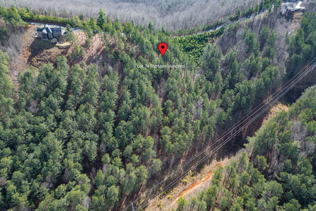 Lot 74 Thirteen Hundred