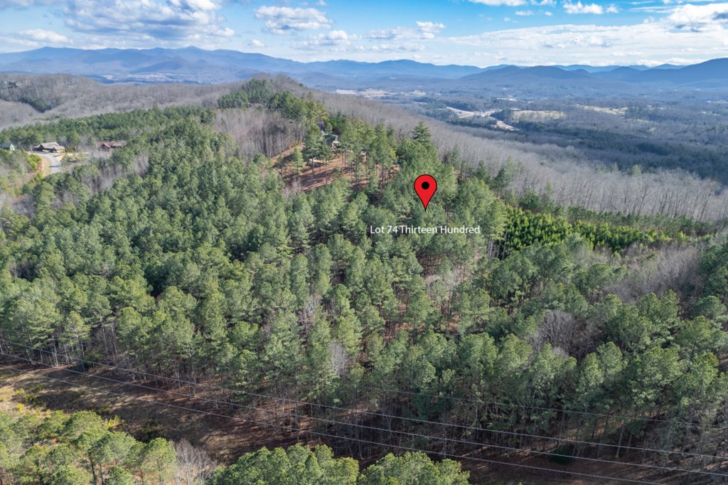 Lot 74 Thirteen Hundred