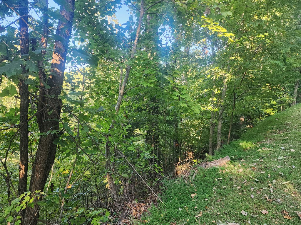 Lt20 Raven Ridge Circle