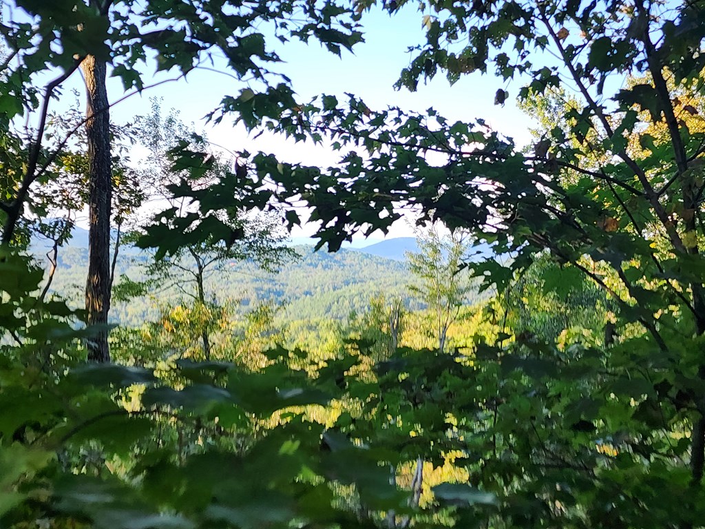 Lt20 Raven Ridge Circle