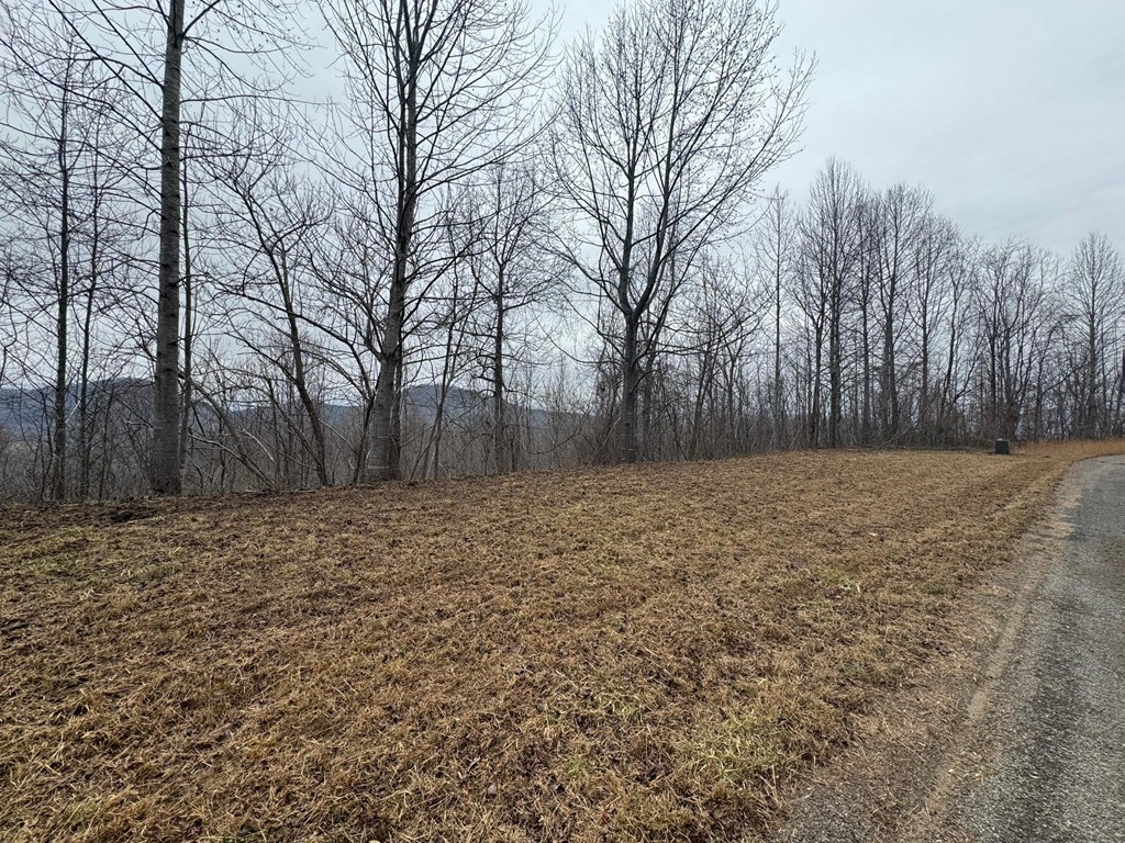 Lot 10 Chatuge Manor Drive