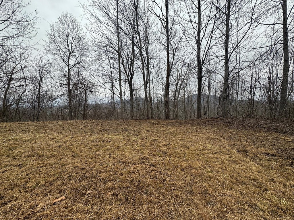 Lot 10 Chatuge Manor Drive