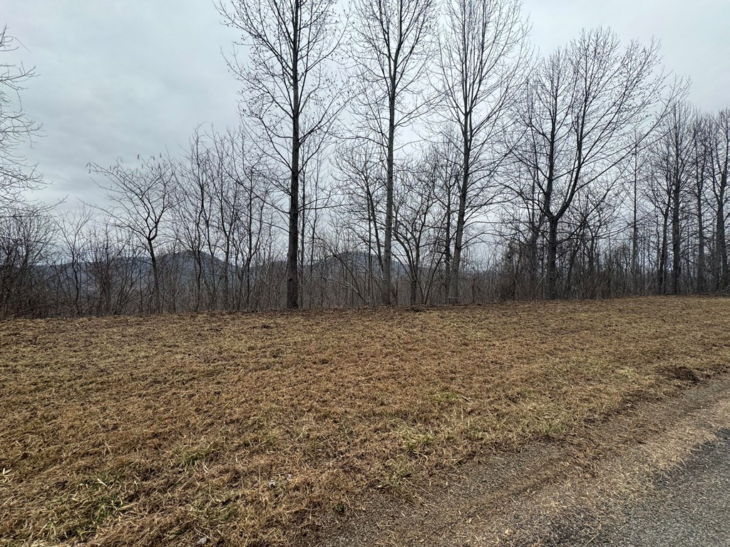 Lot 10 Chatuge Manor Drive