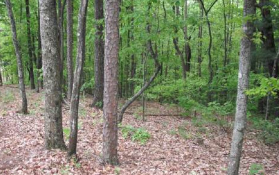 Lot 17 Abbott Mill Road