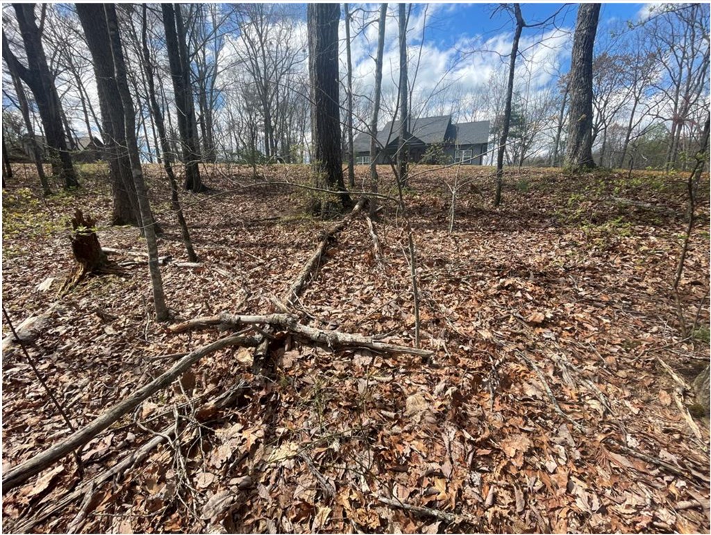 Lot 17 Abbott Mill Road