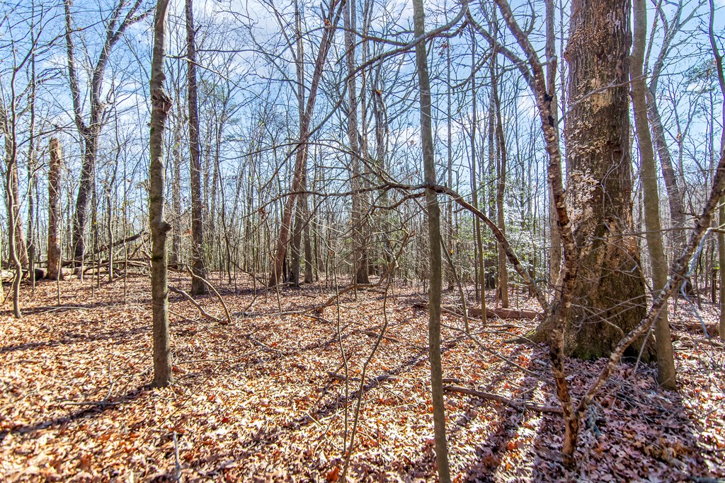 6 Acres Flat Creek Road