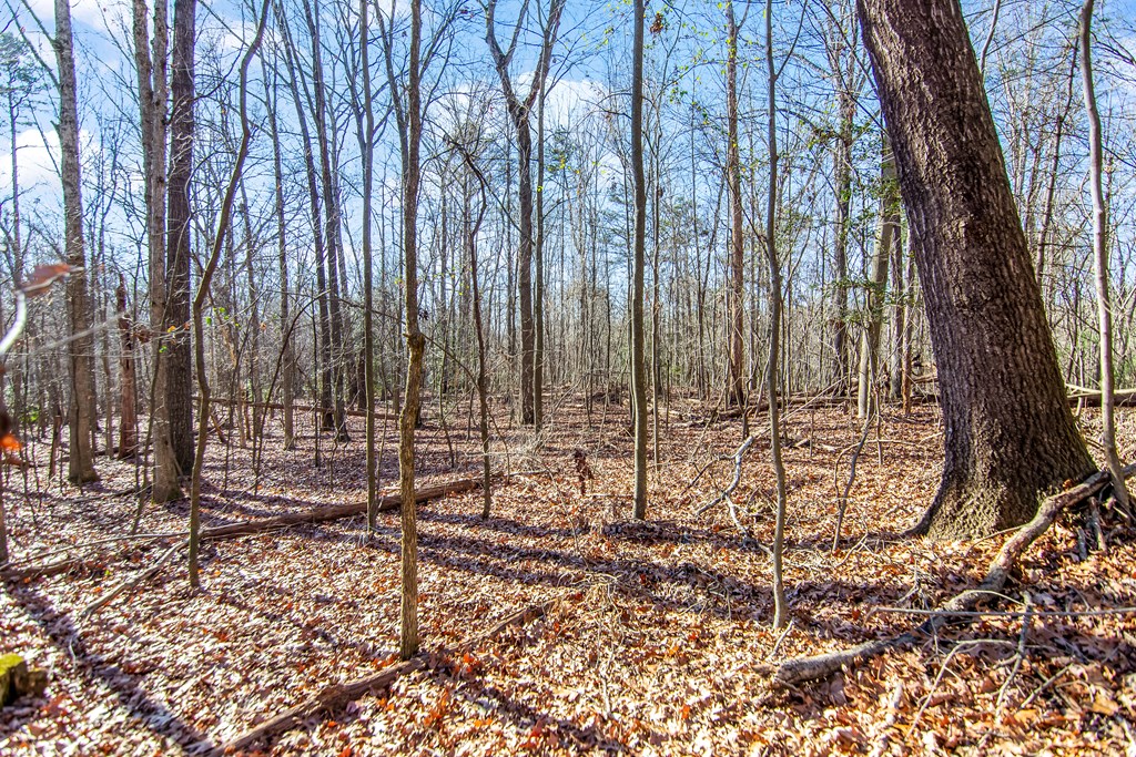 6 Acres Flat Creek Road