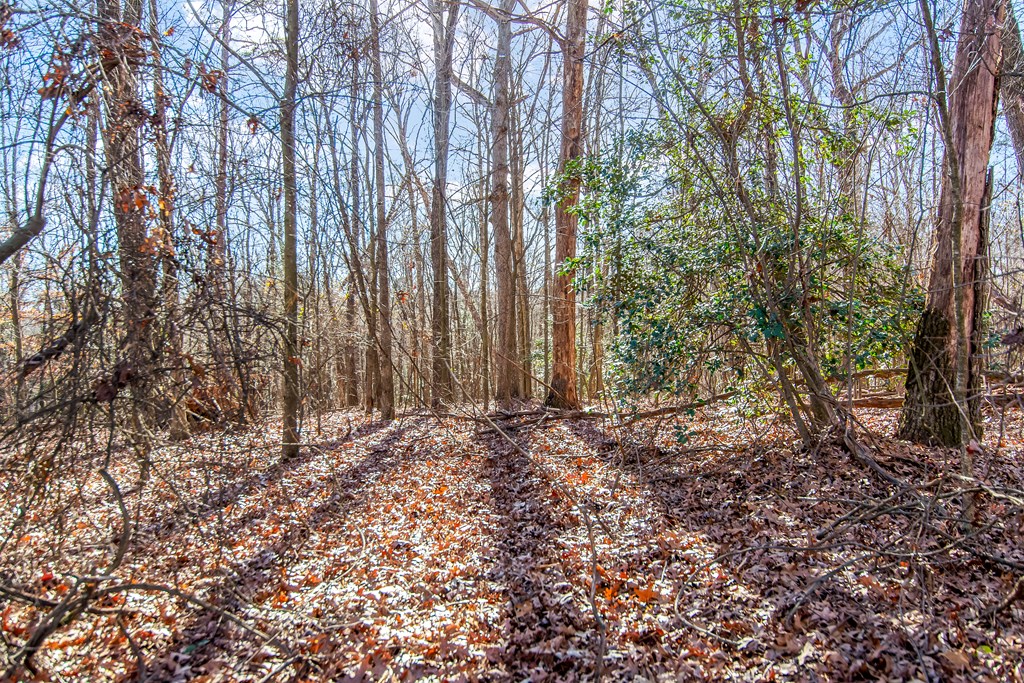 6 Acres Flat Creek Road