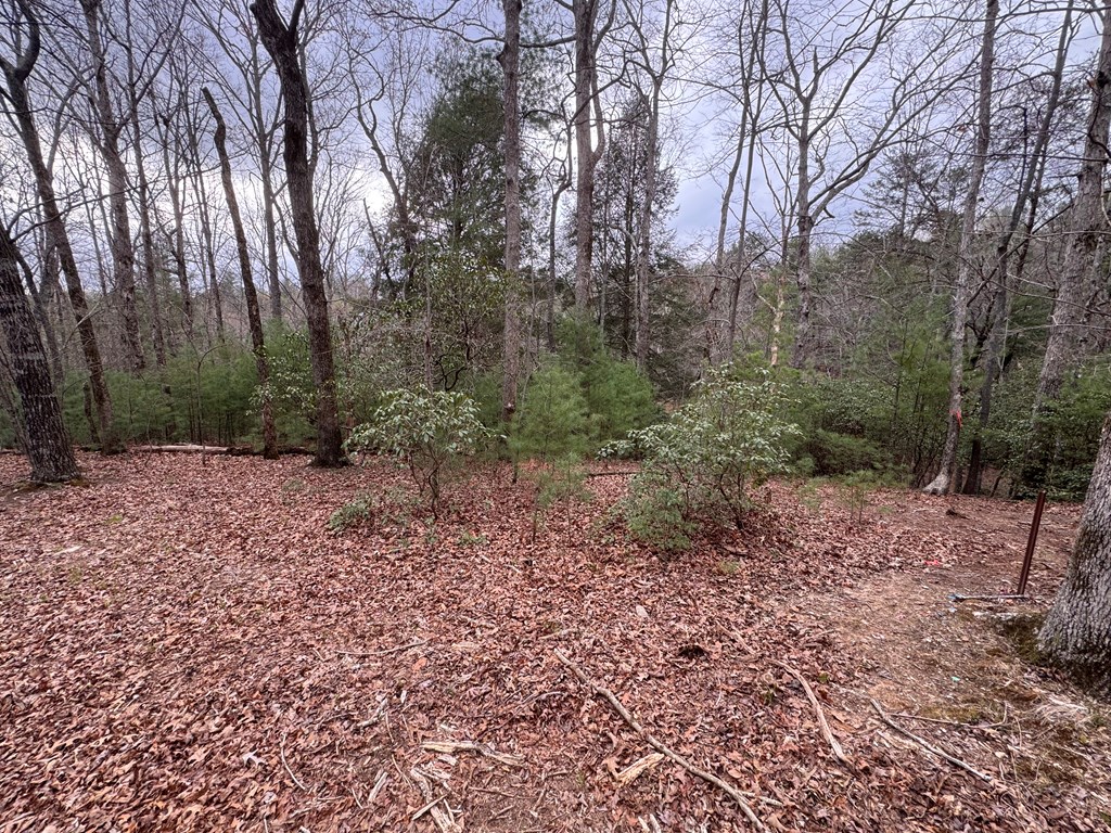 Lot 43 Seneca Drive