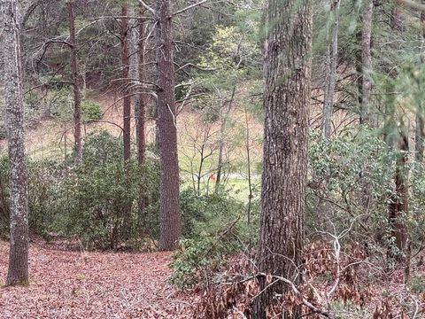 Lot 43 Seneca Drive Ellijay GA 30540