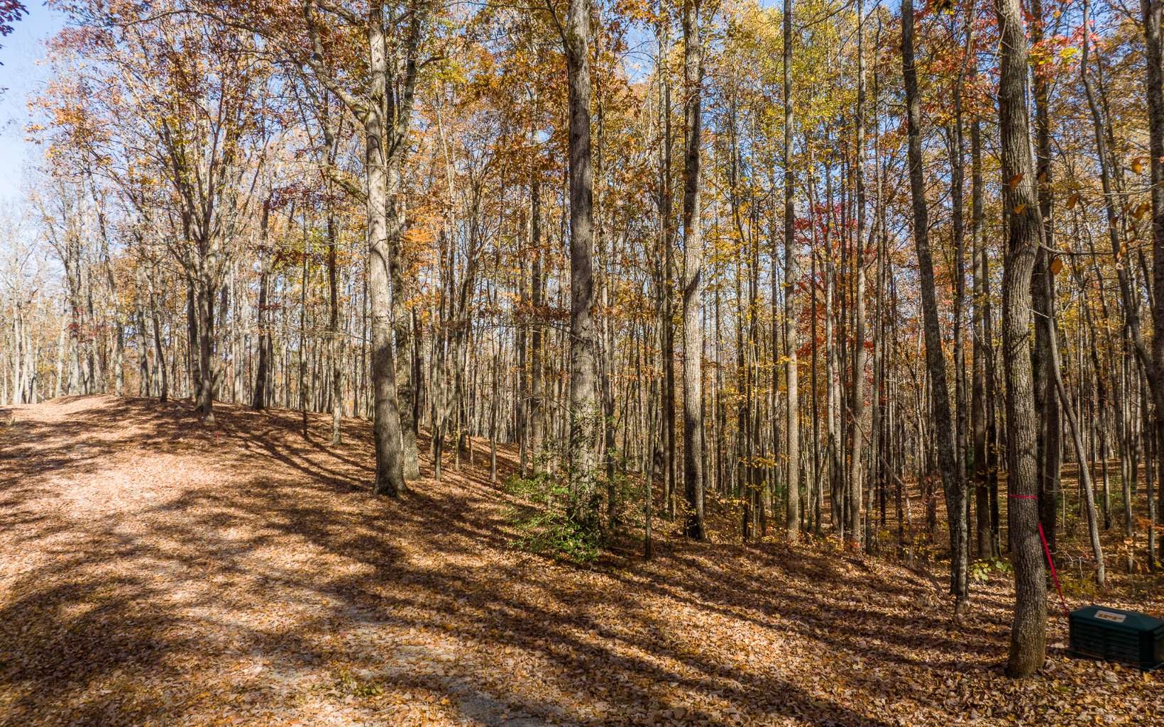 19R Settlement Trail