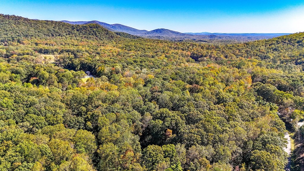 438 E Price Creek Road E