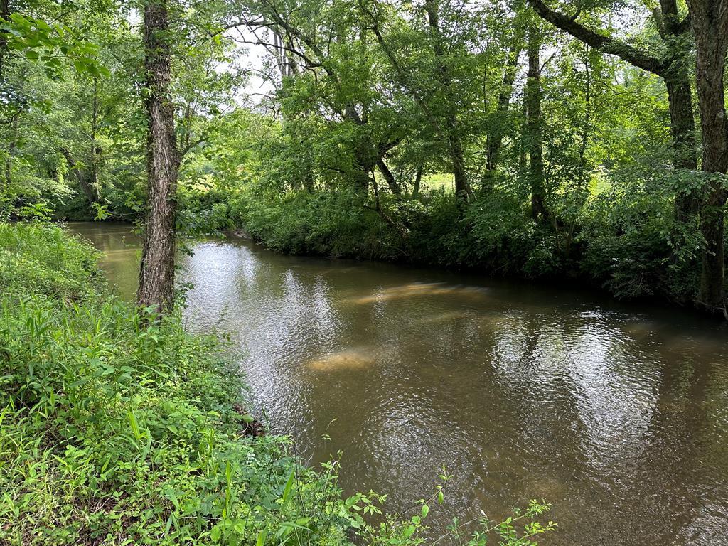 Lot 50 Brasstown Trails